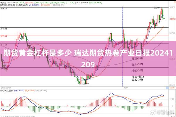 期货黄金杠杆是多少 瑞达期货热卷产业日报20241209