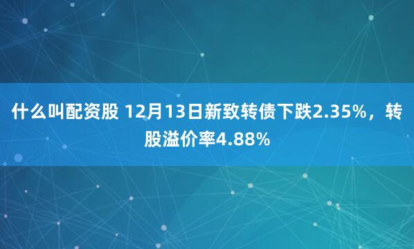 什么叫配资股 12月13日新致转债下跌2.35%，转股溢价率4.88%