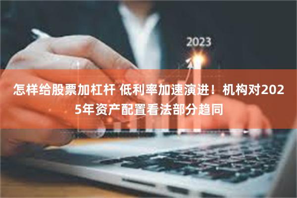 怎样给股票加杠杆 低利率加速演进！机构对2025年资产配置看法部分趋同