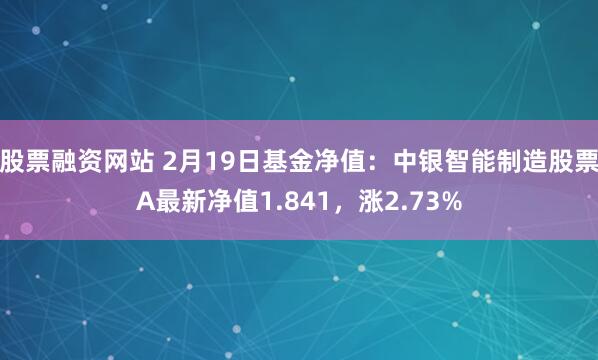 股票融资网站 2月19日基金净值：中银智能制造股票A最新净值1.841，涨2.73%