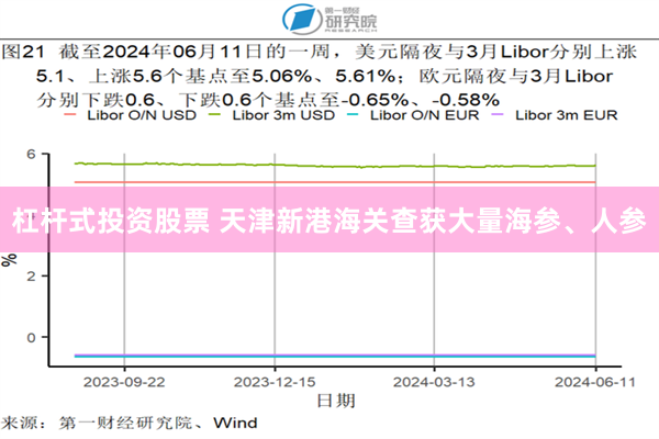 杠杆式投资股票 天津新港海关查获大量海参、人参